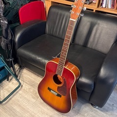 【現状お渡し】Morris アコースティックギターの画像