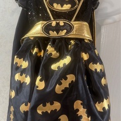 ハローウィンコスチュームの画像