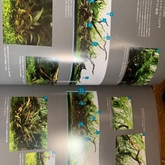ADA雑誌の画像