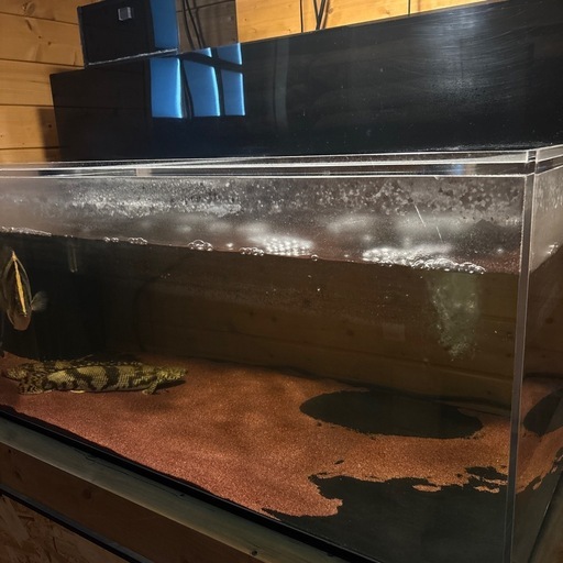 【値下げ中】生体付き1200アクリル水槽セット