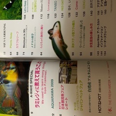 ラミレジィ特集の画像