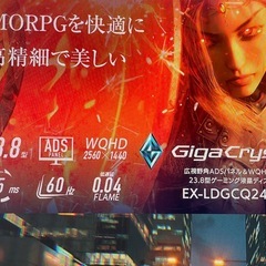 IODATA gigacrysta 23.8  モニターの画像