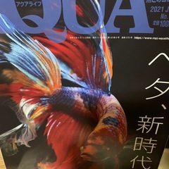 ベタ特集3冊の画像