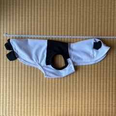 いぬ服（フード付きパンダ柄）［小型犬用］の画像