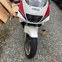 fzr250 1991年式 3lnの画像