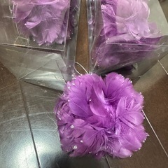 羽飾りの画像