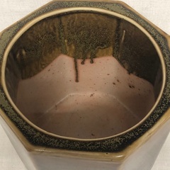 めだか　鉢　火鉢　メダカ　飼育にの画像
