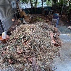 伐採された枝木の処分2万円の画像