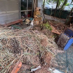 伐採された枝木の処分2万円の画像
