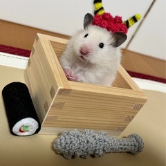 ハムスター　撮影用あみぐるみの画像