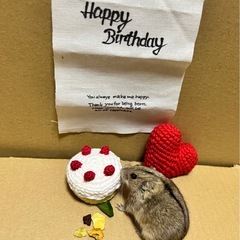 ハムスター　撮影用あみぐるみの画像