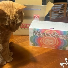 ラブブTHE MONSTERS Big into Energy 6色セットの画像