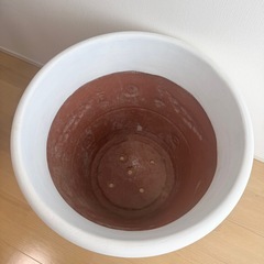 イタリア製　15,000円で購入　特大・直径61×高さ52cm 植木鉢 ホワイトの画像