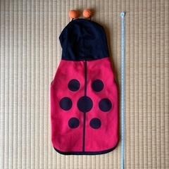 いぬ服（フード付きてんとう虫柄）［小型犬用］の画像