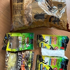 クワガタ飼育セットの画像