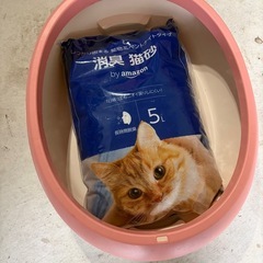 猫トイレ の画像