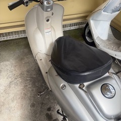 ジョルノクレア 原付50ccの画像