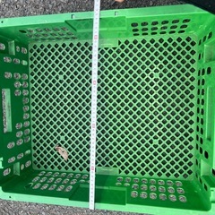 カゴセットの画像