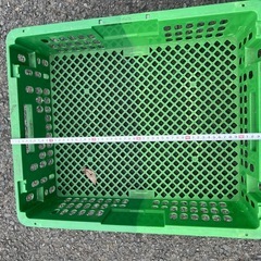 カゴセットの画像