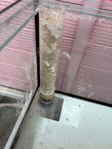 [引退品]オーバーフロー水槽➕水槽台セット(再販)