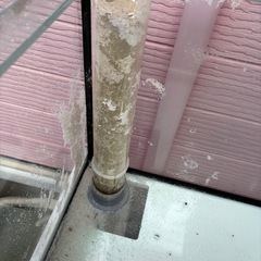 [引退品]オーバーフロー水槽➕水槽台セット(再販)の画像