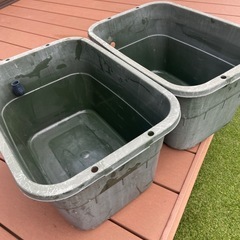 メダカ　容器　まとめ売りの画像