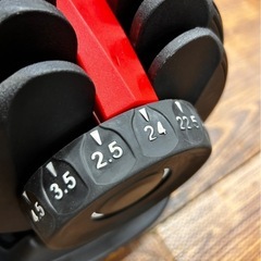 可変式ダンベル 2.5kg～24kg ダイヤル式 15段階調整 2個セットの画像