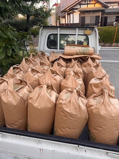 R7年度生産  群馬県北部　新米コシヒカリ　精米済み10キロ　引き取りのみ