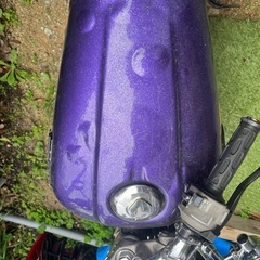 クラブマン250
の画像
