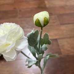 造花の画像