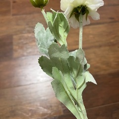 造花の画像