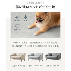 ソファ　¥29,998→¥3000の画像