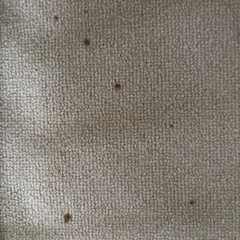 【ニトリ】防音・防炎・抗菌防臭・防ダニカーペット (NオーネストIV 6J)の画像