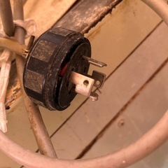 シーターの画像