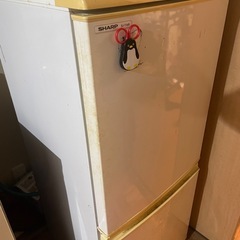 洗濯機/冷蔵庫
の画像