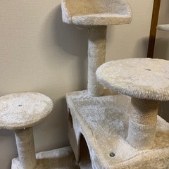 キャットタワーの画像