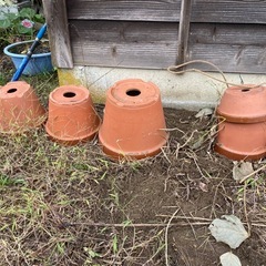 植木鉢各種差し上げますの画像