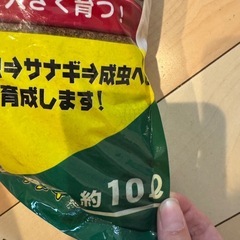 クワガタ 土の画像