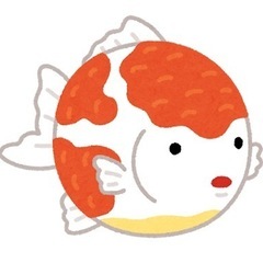 引越しのためメダカと金魚を販売します！の画像