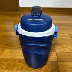 ジャグ2Lの画像