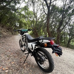 アルカディア　 
オフロードバイクの画像
