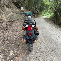 アルカディア　 
オフロードバイクの画像
