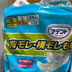 大人 紙おむつ　パッド　お口スポンジ【値下げしました】の画像