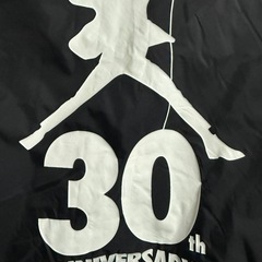 エレファントカシマシ　30th コーチジャケット　Sサイズの画像