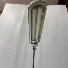 ライトの画像