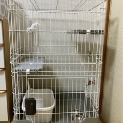 猫用げゲージの画像