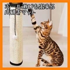 【新品未使用】猫用 爪研ぎマット＆トイレマット お得2点セットの画像