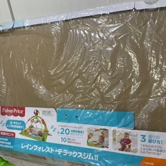 プレイジム　Fisher Priceの画像