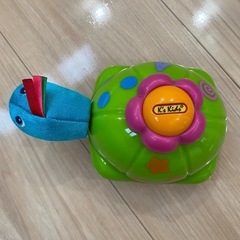とことこカメさんの画像