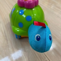 とことこカメさんの画像
